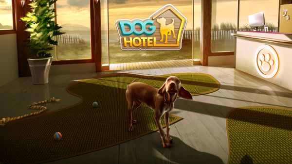 DogHotel - My Boarding Kennel Cheats: 5 Tips to Keep in Mind