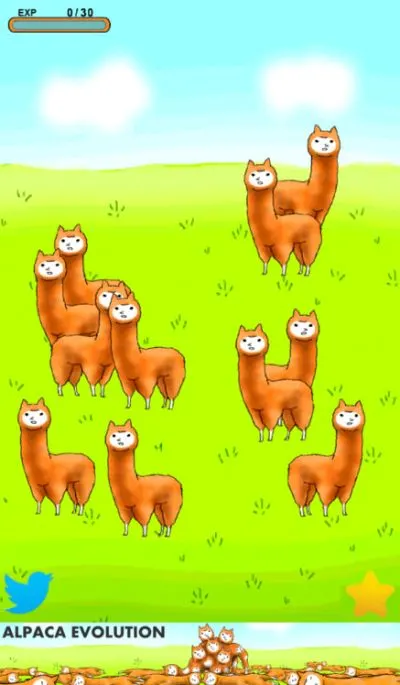 alpaca evolution tips