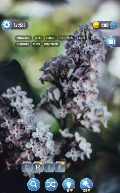 word town saint petersburg answers level 2556