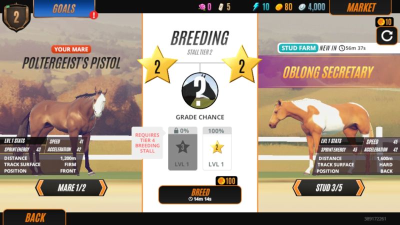 rival stars horse racing breeding tips