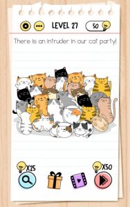 brain test level 27 answer