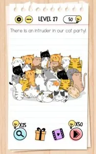 brain test level 27 answer