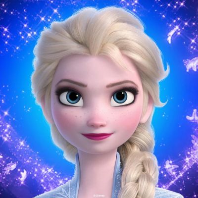 disney frozen adventures tips