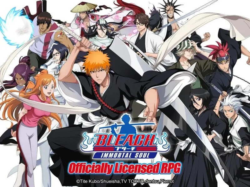 bleach immortal soul