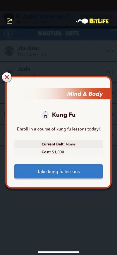 bitlife kung fu class