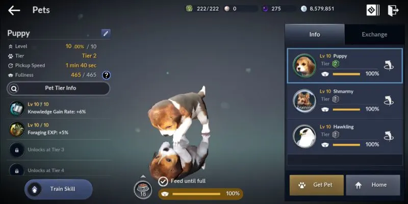 how to acquire pets in black desert mobile