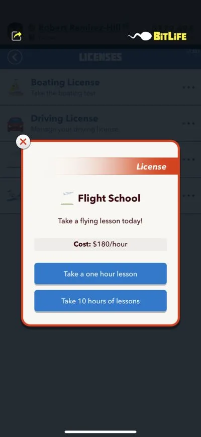 bitlife flight school