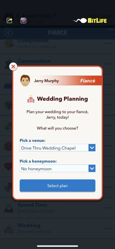 bitlife wedding planning
