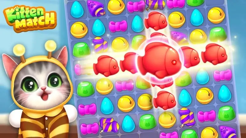 kitten match tricks