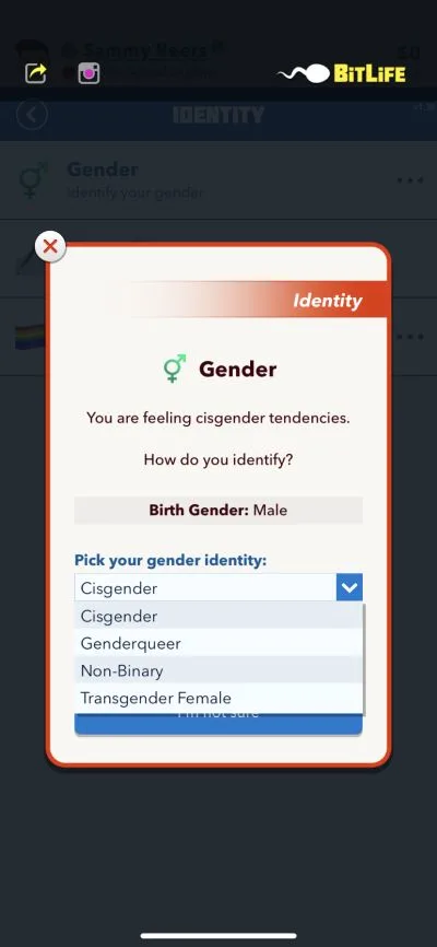 gender identity in bitlife