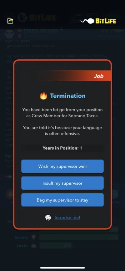 job termination in bitlife