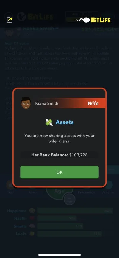 sharing assets in bitlife