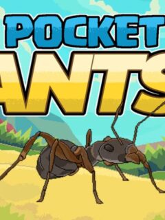 pocket ants guide