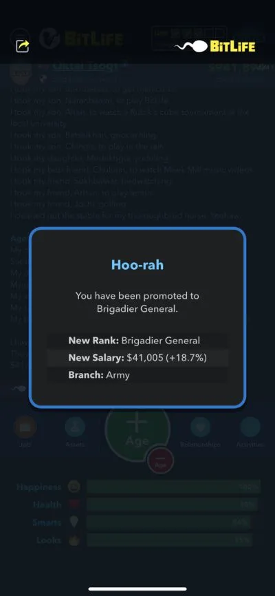 brigardier general job in bitlife