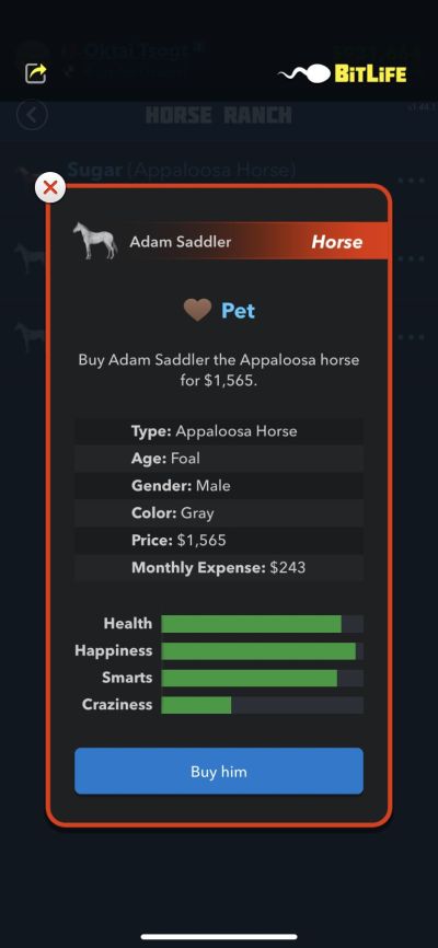 buying a horse in bitlife