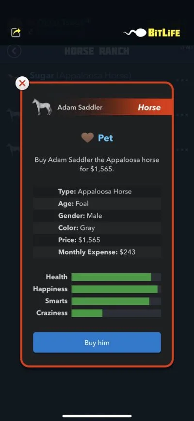 buying a horse in bitlife