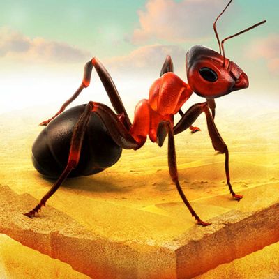 little ant colony tips