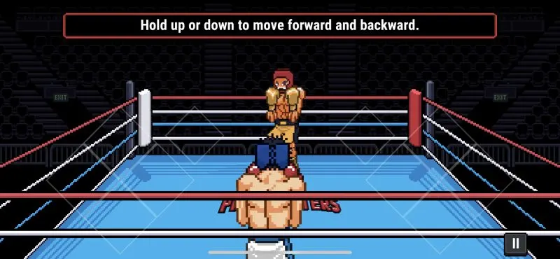 prizefighters 2 moves