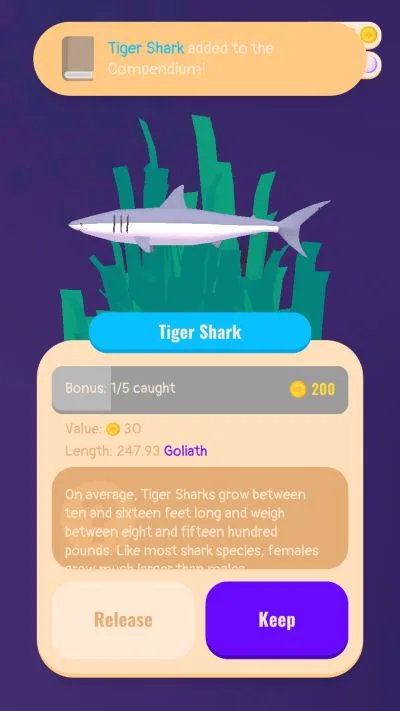 tiger shark tides a fishing game