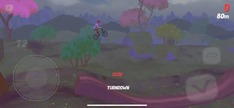 pumped bmx flow turndown