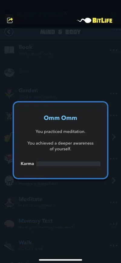 practicing meditation in bitlife