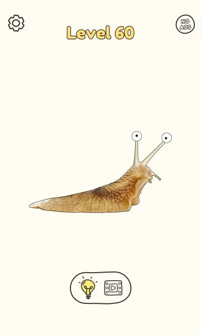 dop draw one part level 60 answer