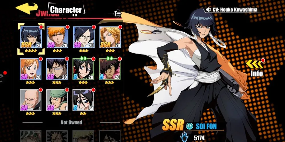 bleach eternal soul team