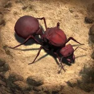 the ants underground kingdom tips