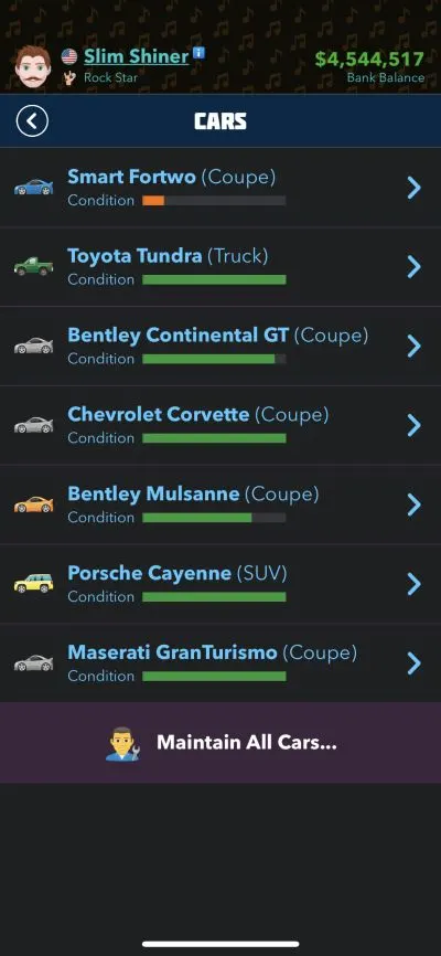 car maintenance in bitlife