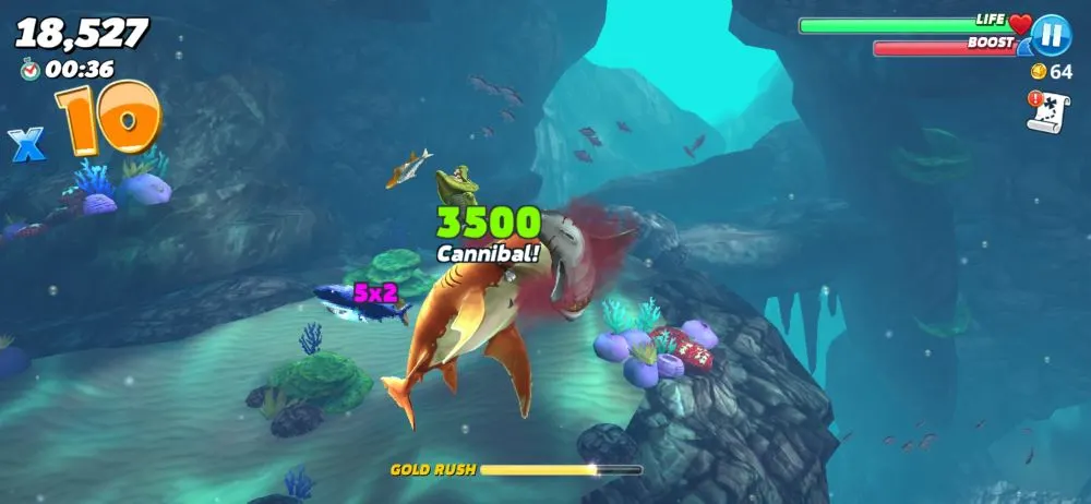 hungry shark world combo