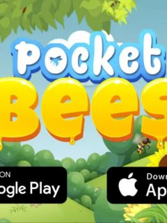 pocket bees guide