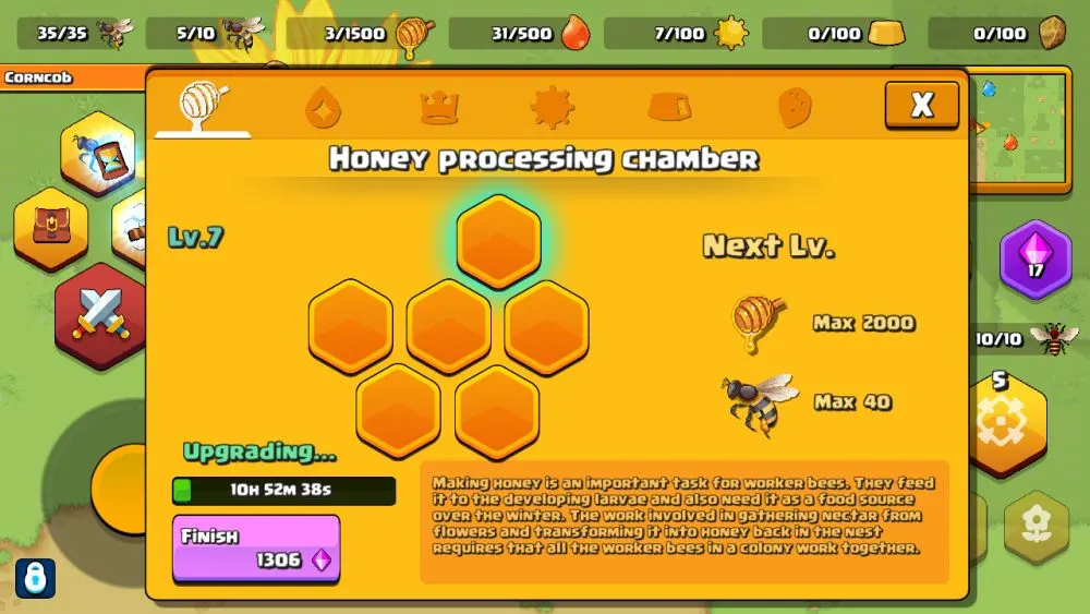 pocket bees honey chamber