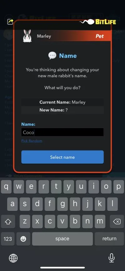 bitlife coco rabbit