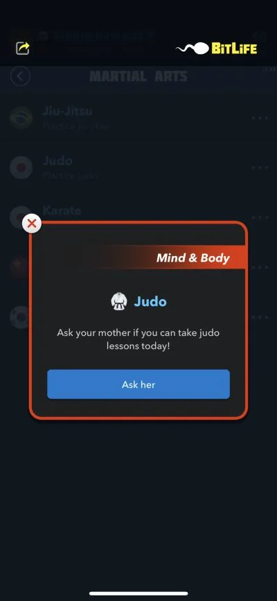 bitlife judo lesson