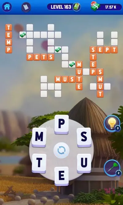 words of fortune level 163 answer