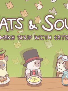 cats & soup guide