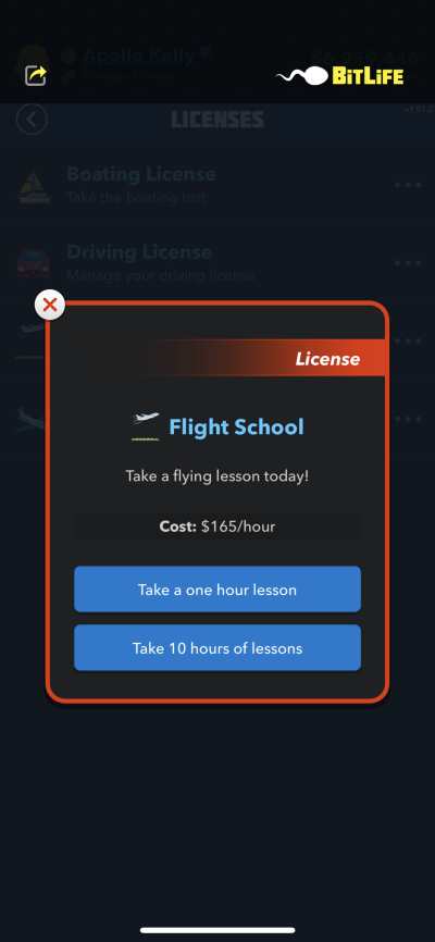 bitlife flight school