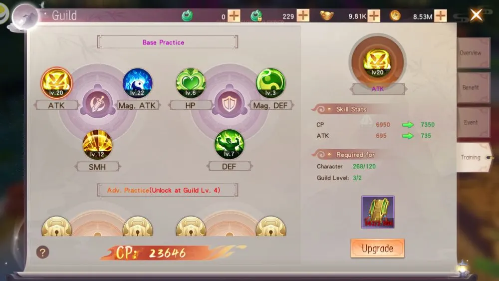 mirage perfect skyline guild training