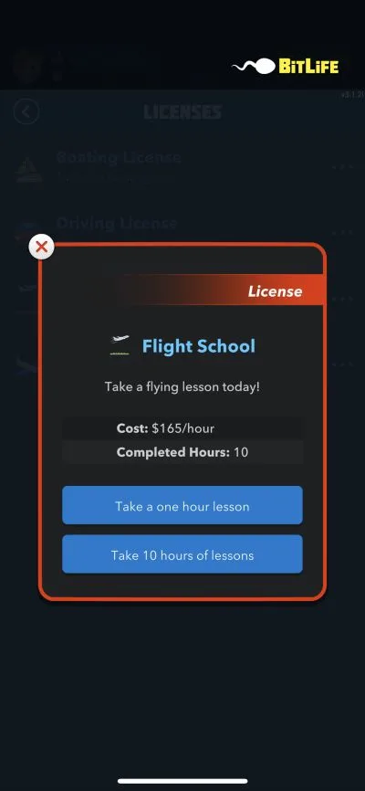 bitlife flight school