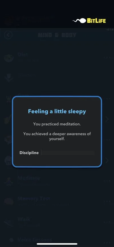 meditation in bitlife