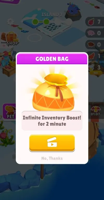 dragon island golden bag