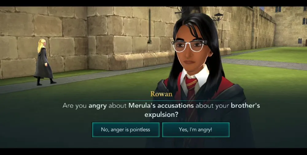 harry potter hogwarts mystery anger