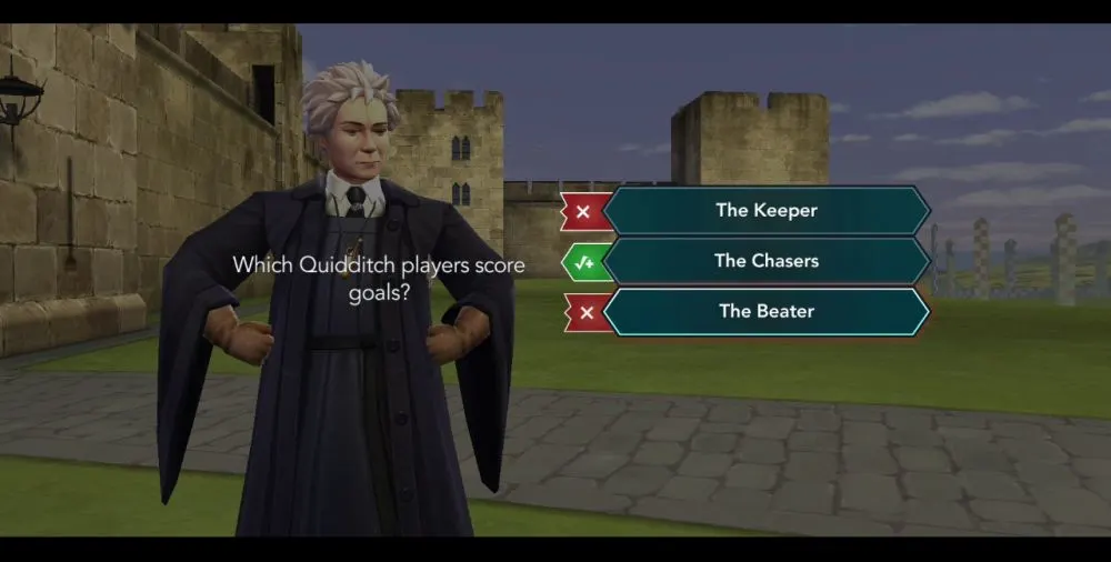 harry potter hogwarts mystery madam hooch