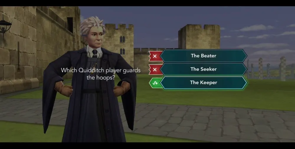 harry potter hogwarts mystery madam hooch lesson