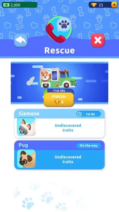 rescuing strays in pet rescue empire tycoon