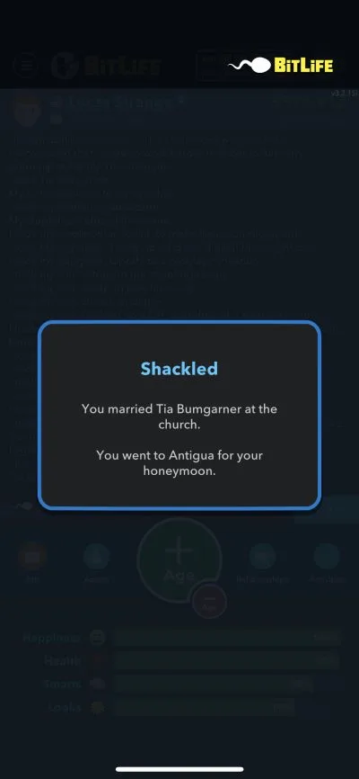 bitlife marriage