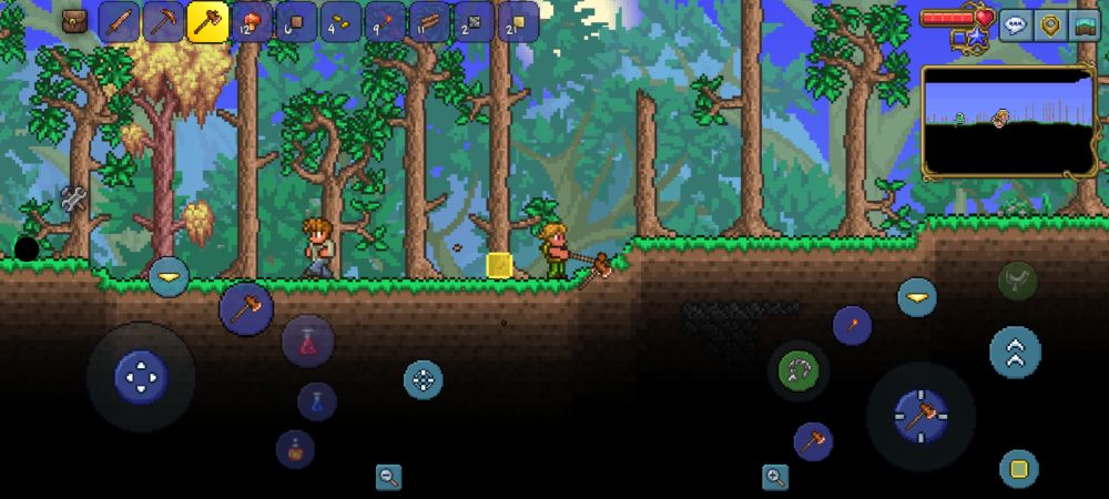 terraria new meat