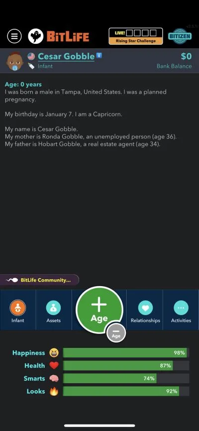 bitlife character attributes