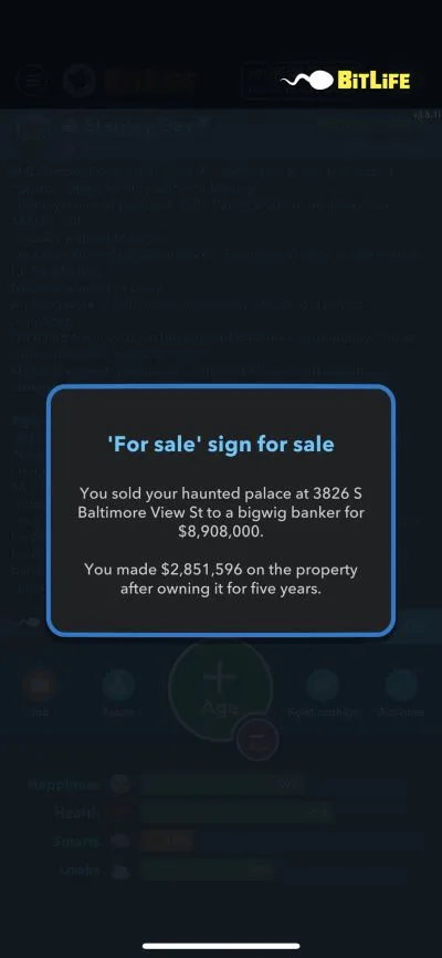 house flipping in bitlife