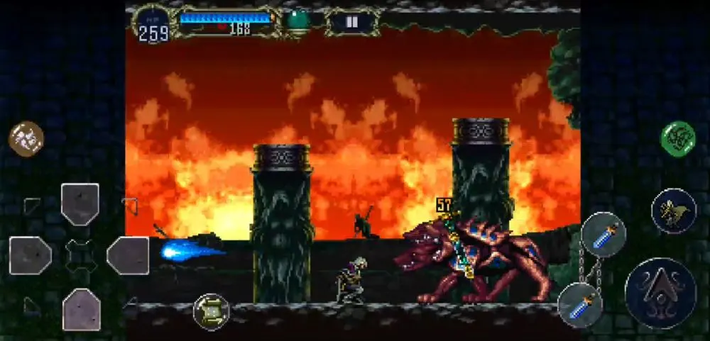 castlevania symphony of the night cerberus